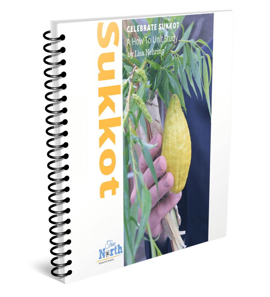 Sukkot MockUp