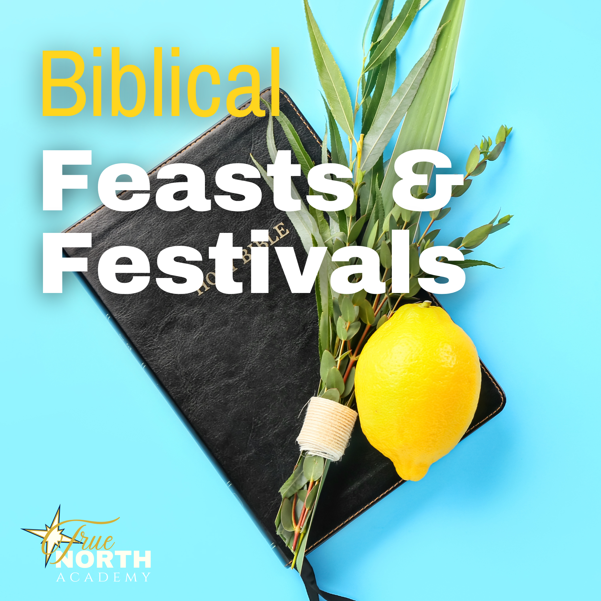 Biblical Feasts and Festivals semester class True North Academy