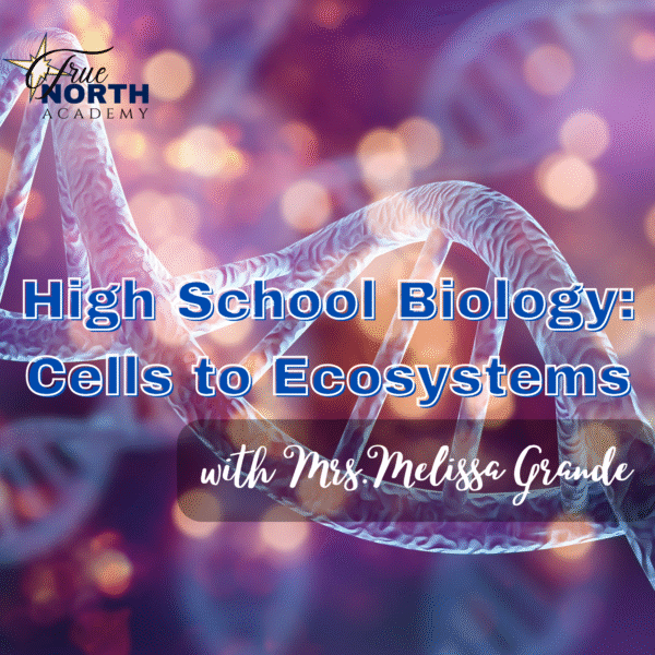 Dive into the wonders of life with High School Biology, a faith-integrated, lab-rich science course for grades 10–12 (and motivated 9th graders). Explore genetics, ecology, cell biology, and more through hands-on experiments, collaborative projects, and engaging virtual tools. Students will strengthen scientific inquiry skills while gaining a deeper appreciation of God’s Intelligent Design. Meets Fridays at 9 AM in the Sr. High Zoom Room. Textbook: General Biology by Ayala & Rogstad (Novare Science).